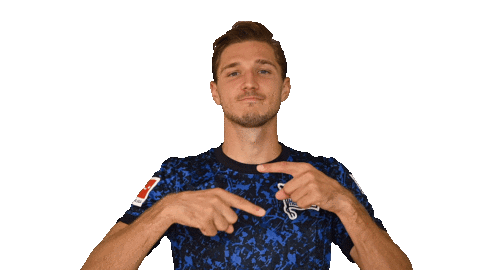 Niklas Stark Facepalm Sticker by Hertha BSC