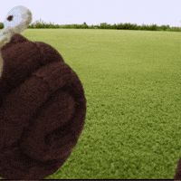 Snail Mail GIF by TeaCosyFolk