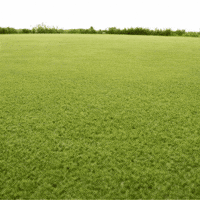 Snail Mail GIF by TeaCosyFolk