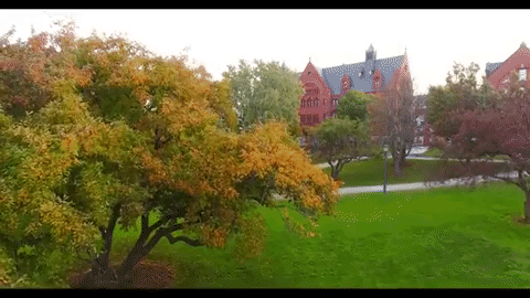 university of vermont fall GIF