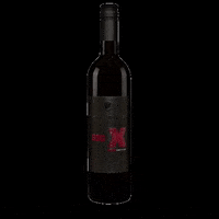 Cheers Vino GIF by Weingut Schmidt