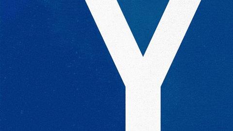 Soccer Bundesliga GIF by Karlsruher SC