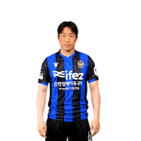 Football Soccer Sticker by Incheon United FC