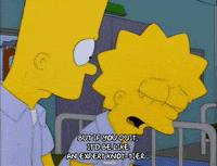the simpsons episode 25 GIF