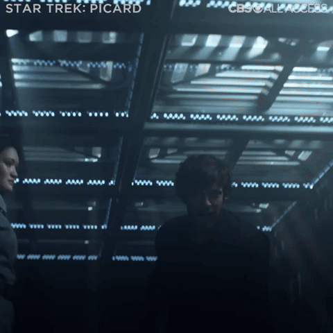 Star Trek: Picard - Romulan Tradition