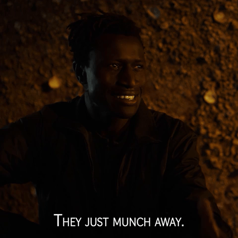 They Just Munch Away