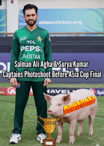 India GIF