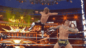 Los Angeles Wrestling GIF by WWE
