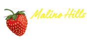 malino strawberrymks Sticker by Mama Hotplate