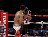 toprank fight boxing fighting espn GIF