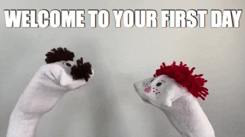 YourHappyWorkplace giphygifmaker welcome puppets first day GIF