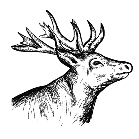 Schnauze-und-company giphyupload wurst hirsch fleisch Sticker