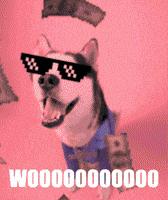 swagrman dog celebration woah husky GIF