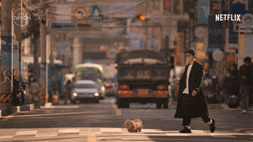 Korean Drama Netflix GIF by The Swoon