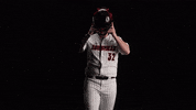University Of Louisville Baseball GIF by Louisville Cardinals