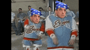 wtf GIF by franceinfo