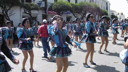 nekoshicesar giphyupload GIF