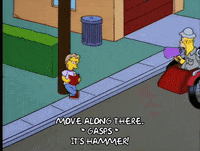 homer simpson GIF
