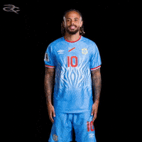 Fifa World Cup Leopards GIF by Respective