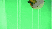 Pokemon Tcg Milo GIF by Pokémon