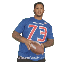 Buffalo Bills Sticker by West Herr