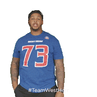 Buffalo Bills Sticker by West Herr