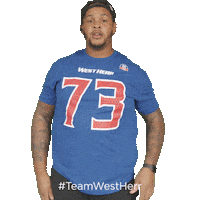 Buffalo Bills Sticker by West Herr