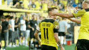 Marco Reus Reaction GIF by MolaTV