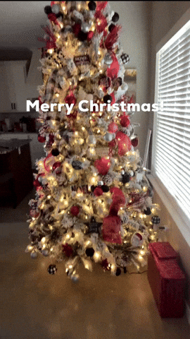 Merry Christmas GIF
