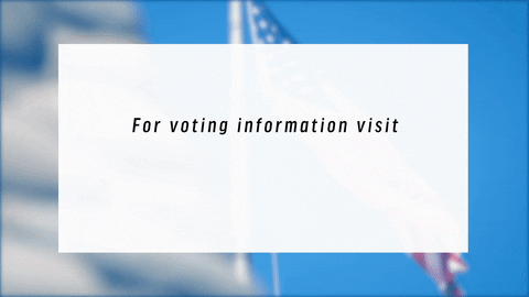 hilary-schenker giphyupload pennsylvania election2020 nonakedballots GIF