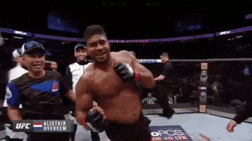 ufc 209 GIF