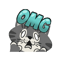 Cat Omg Sticker