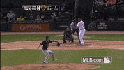 cws GIF by MLB