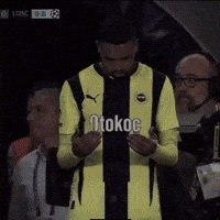 Fenerbahce GIF