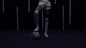 North Carolina GIF by UNC Tar Heels