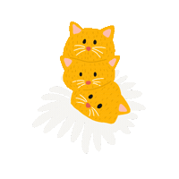 organe_k cat flower flowers strasbourg Sticker