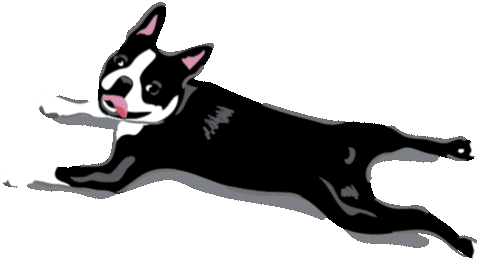 Fetch Boston Terrier Sticker by Vera Bradley