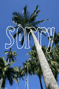 sorry home video GIF