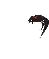 Snake Airsoft Sticker by Viper Kit
