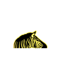 Awareness Zebra Sticker by RARE.