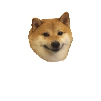 Dog Yes Sticker