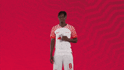 Red Bull Football GIF by RB Leipzig
