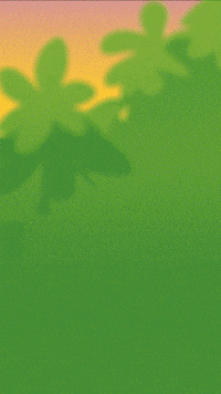 Cat Pop GIF by POP! Slots Casino