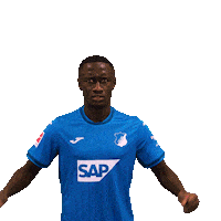 Sport Bundesliga Sticker by TSG Hoffenheim