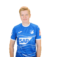 Fussball Sticker by TSG Hoffenheim