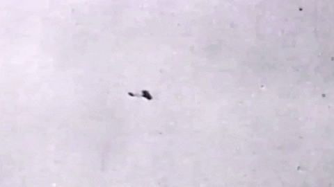 World Record Plane GIF by Safran