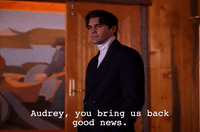 season 2 GIF by Twin Peaks on Showtime
