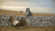 loose GIF