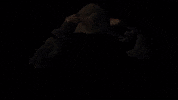 Assassins Creed GIF by OneRepublic