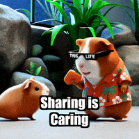 Guinea Pig Share GIF by Guinea Gambino